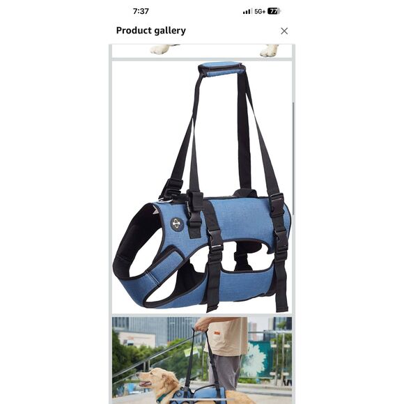 Blue Coodeo Dog Lift Harness Size XXL - Picture 4 of 4